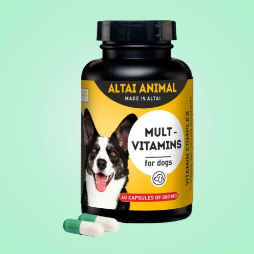 Dogs – Multivitamins