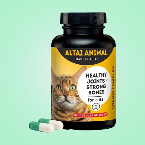 Cats – Joints & bones