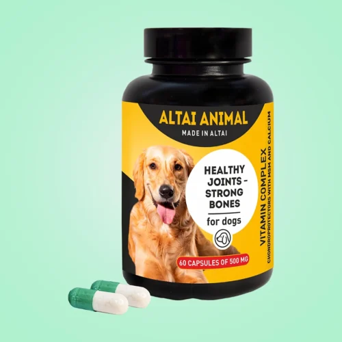 Dogs – Joints & bones