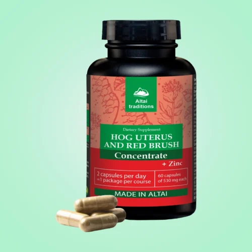 Concentrate Hog uterus and red brush+zinc, 60 capsules
